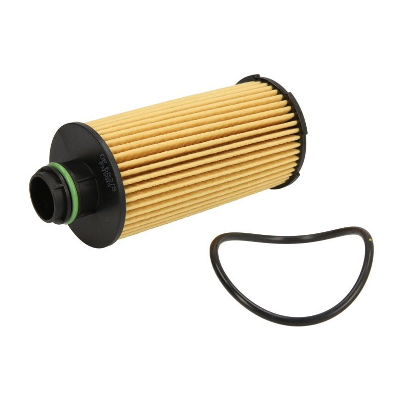 A. Filtro Olio Motore art.7560 BIBA-RICAMBI
