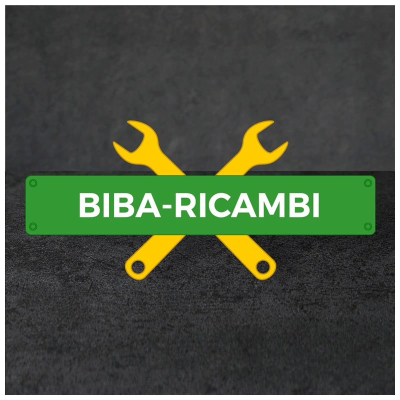 Accessori Molle Kit Ripara Ganasce Freno Compatibile Per Fiat Punto II (188) dal 1999> BIBA-RICAMBI