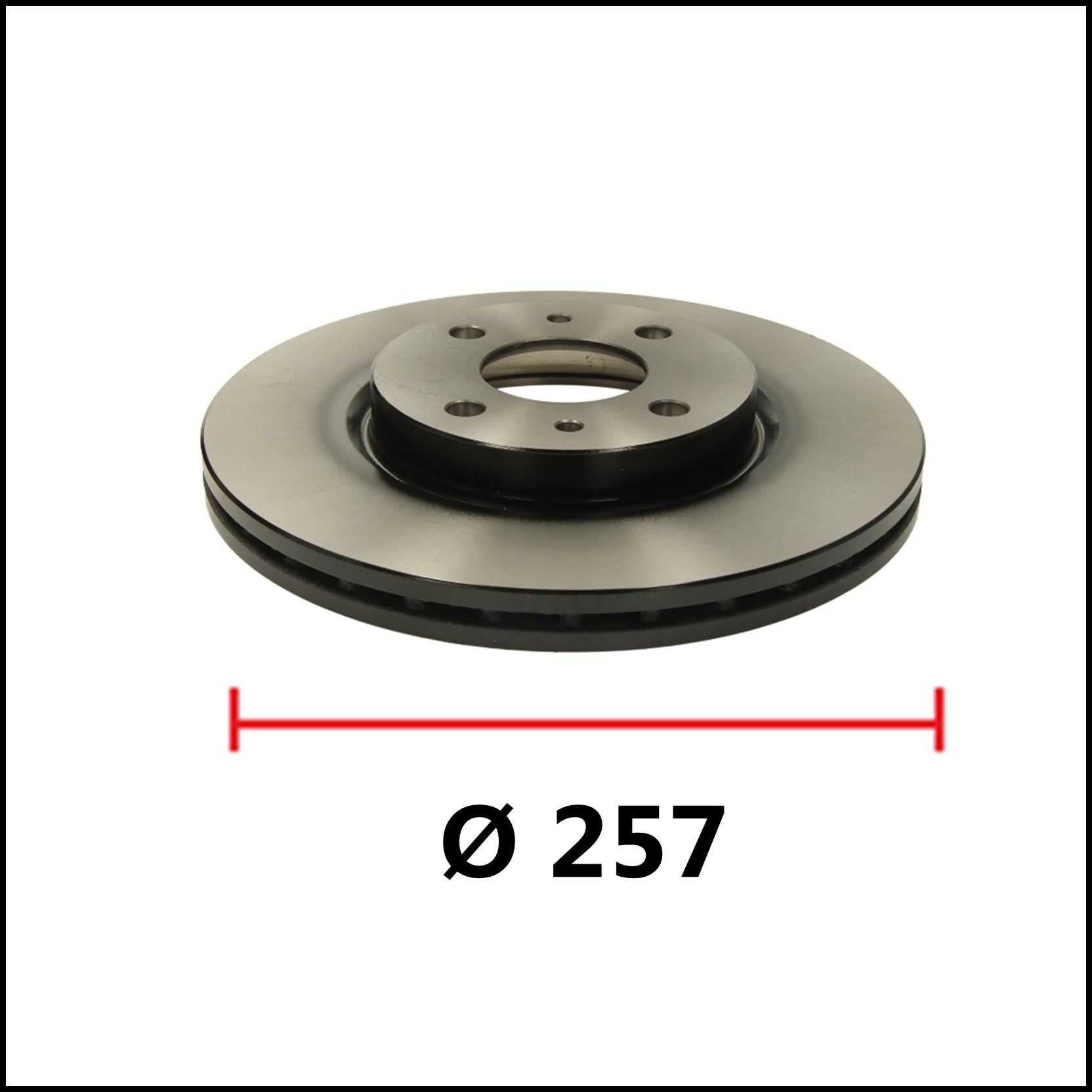 Coppia Dischi Freno Anteriori Ventilati Ø 257 Adattabili Fiat STILO (192_) dal 2001-2010 BIBA-RICAMBI