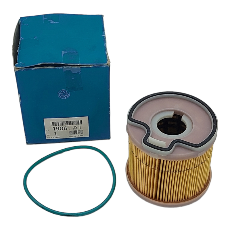 Filtro Carburante Originale Peugeot Compatibile Per Citroen | Fiat | Lancia | Peugeot | Renault | Suzuki BIBA-RICAMBI