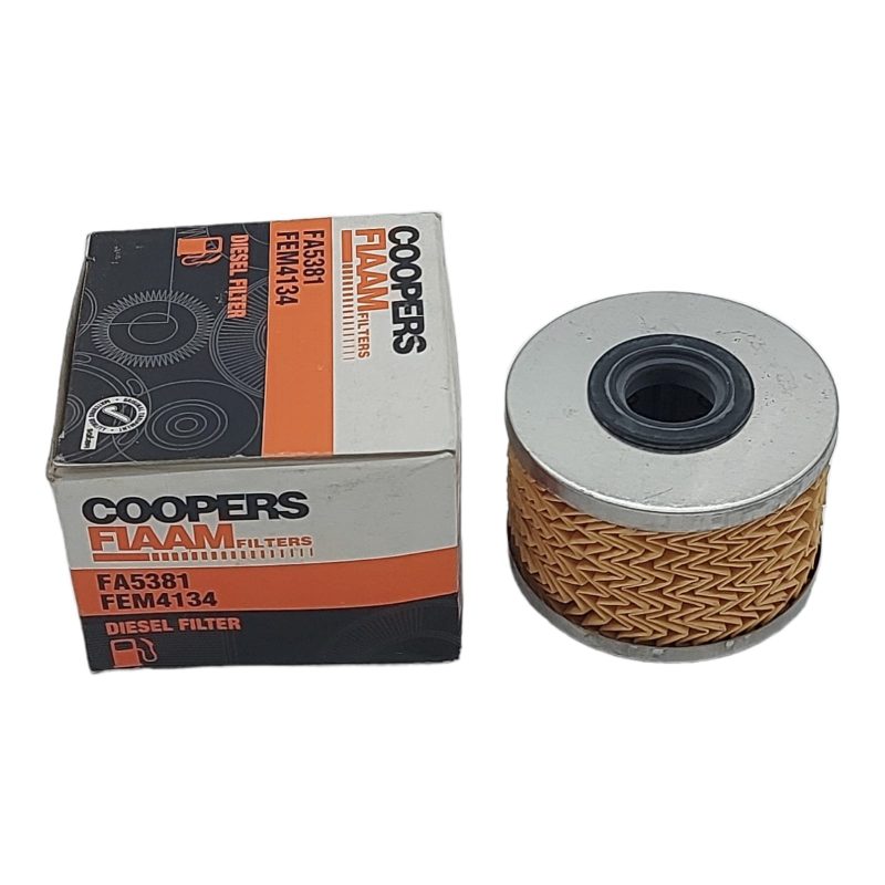 Filtro Carburante Compatibile Per Rover Dacia | Opel | Renault Fiaam Filters BIBA-RICAMBI