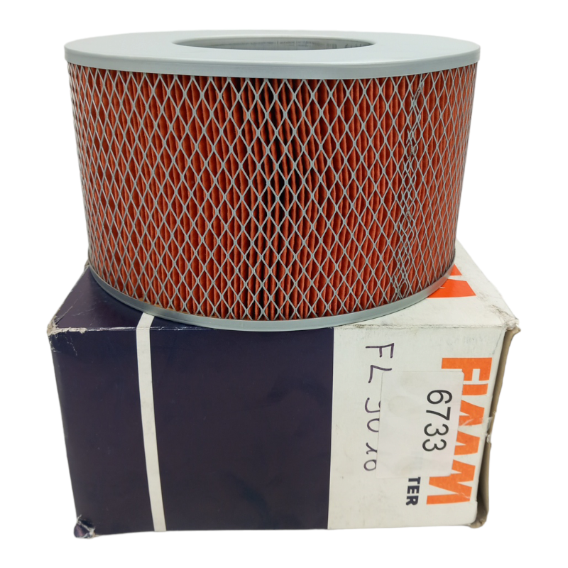 Filtro Aria Motore Fiaam Filter Codice.FL9016 BIBA-RICAMBI