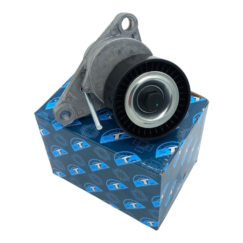 Rullo Cuscinetto Cinghia Servizi Compatibile Per Citroen C3 Pluriel (HB) 1.6 80KW-109CV BIBA-RICAMBI
