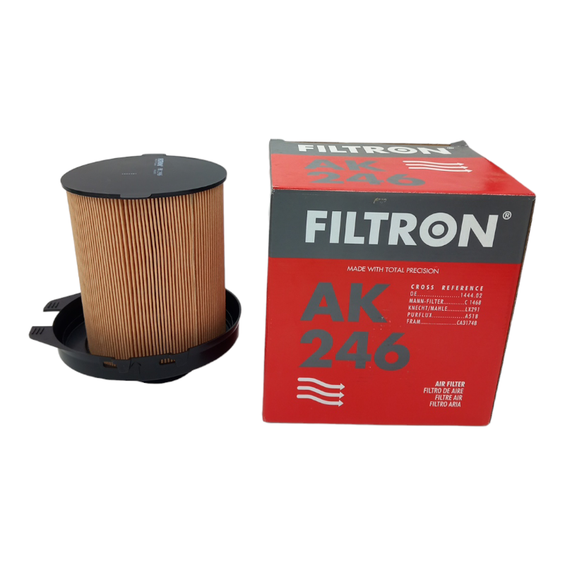 Filtro Aria Motore Filtron Codice.AK 246 BIBA-RICAMBI