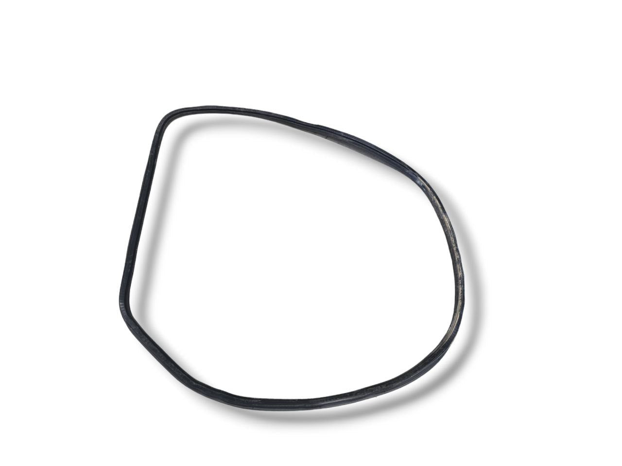 Guarnizione Portiera Posteriore Sinistra Citroen C4 Grand Picasso (2013-2022)