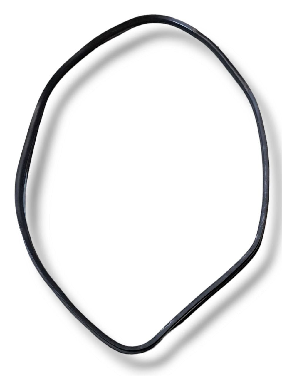 Guarnizioni porta / portiera / sportello anteriore destra interna FIAT 500L (2017)