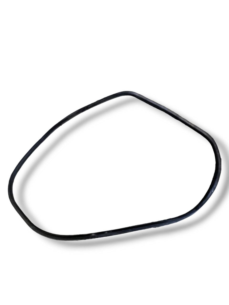 Guarnizioni porta / portiera / sportello posteriore sinistra interna FIAT 500L (2017)