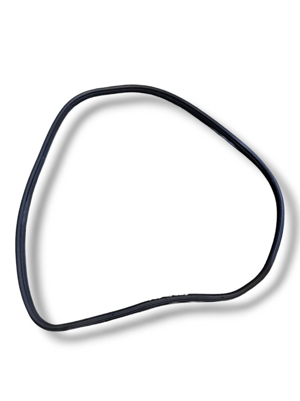 Guarnizioni porta / portiera / sportello posteriore sinistra interna FIAT 500L (2017)