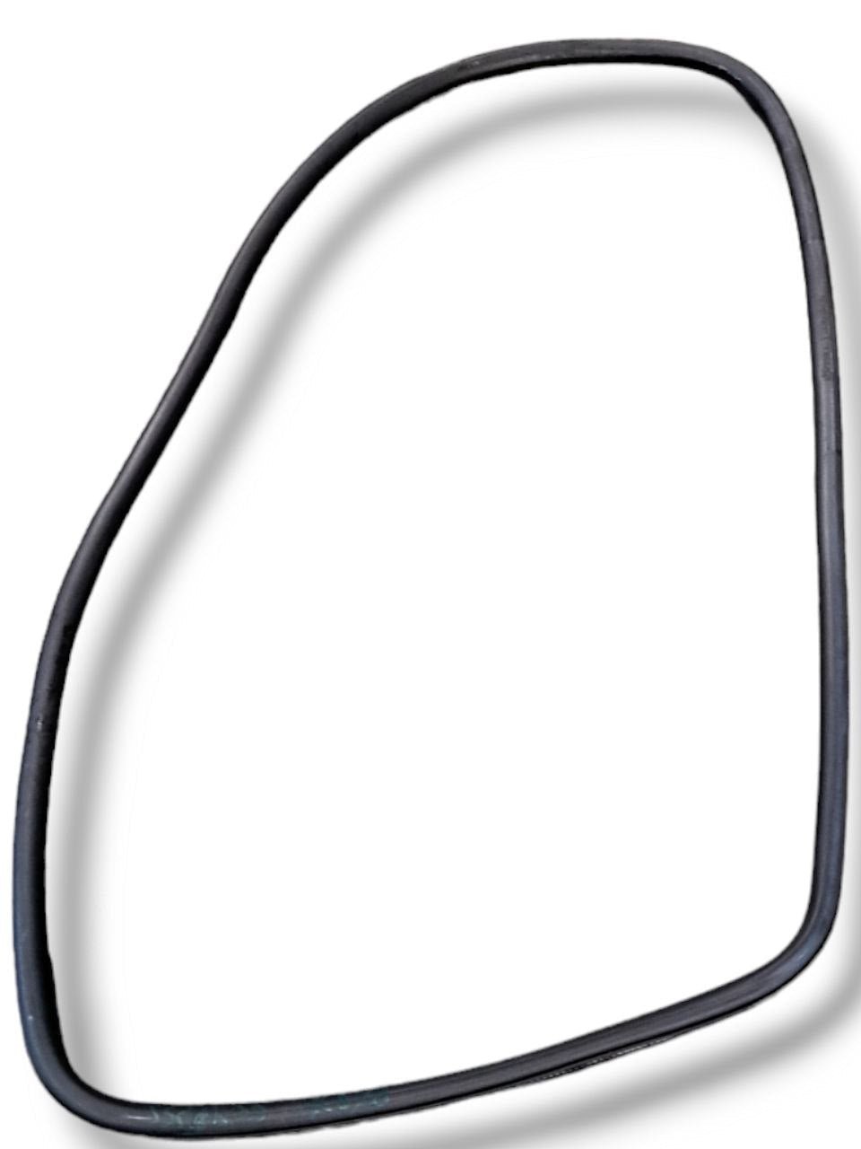 Guarnizioni porta / portiera / sportello posteriore sinistra Jeep Compass 4XE (2022)