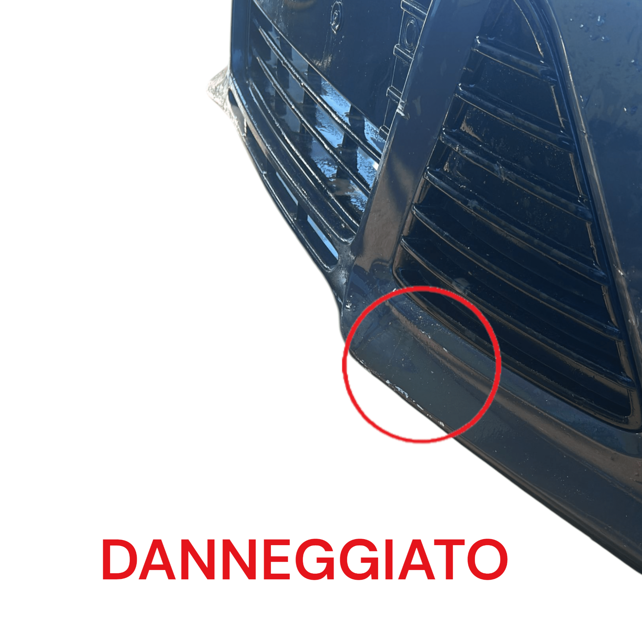 Paraurti Anteriore Grigio Ford Focus III SW (2011 > 2018)