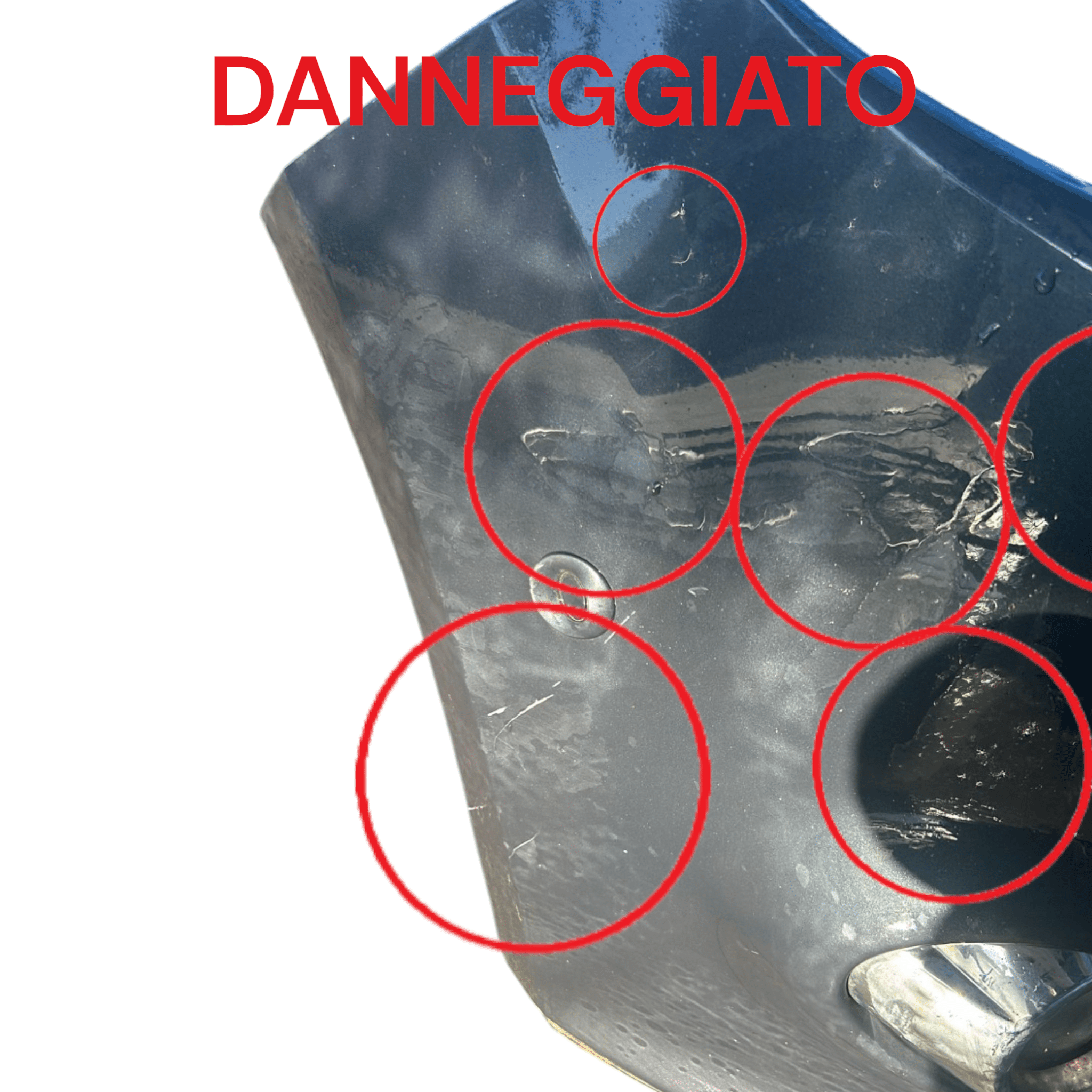 Paraurti Anteriore Grigio Ford Focus III SW (2011 > 2018)