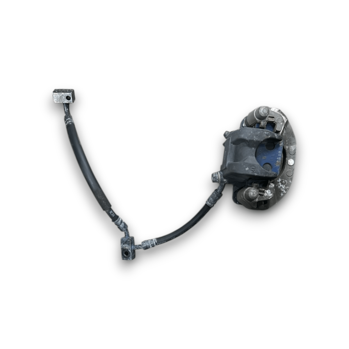 Pinza Freno Posteriore Honda Sh 125 (2013 > 2016)