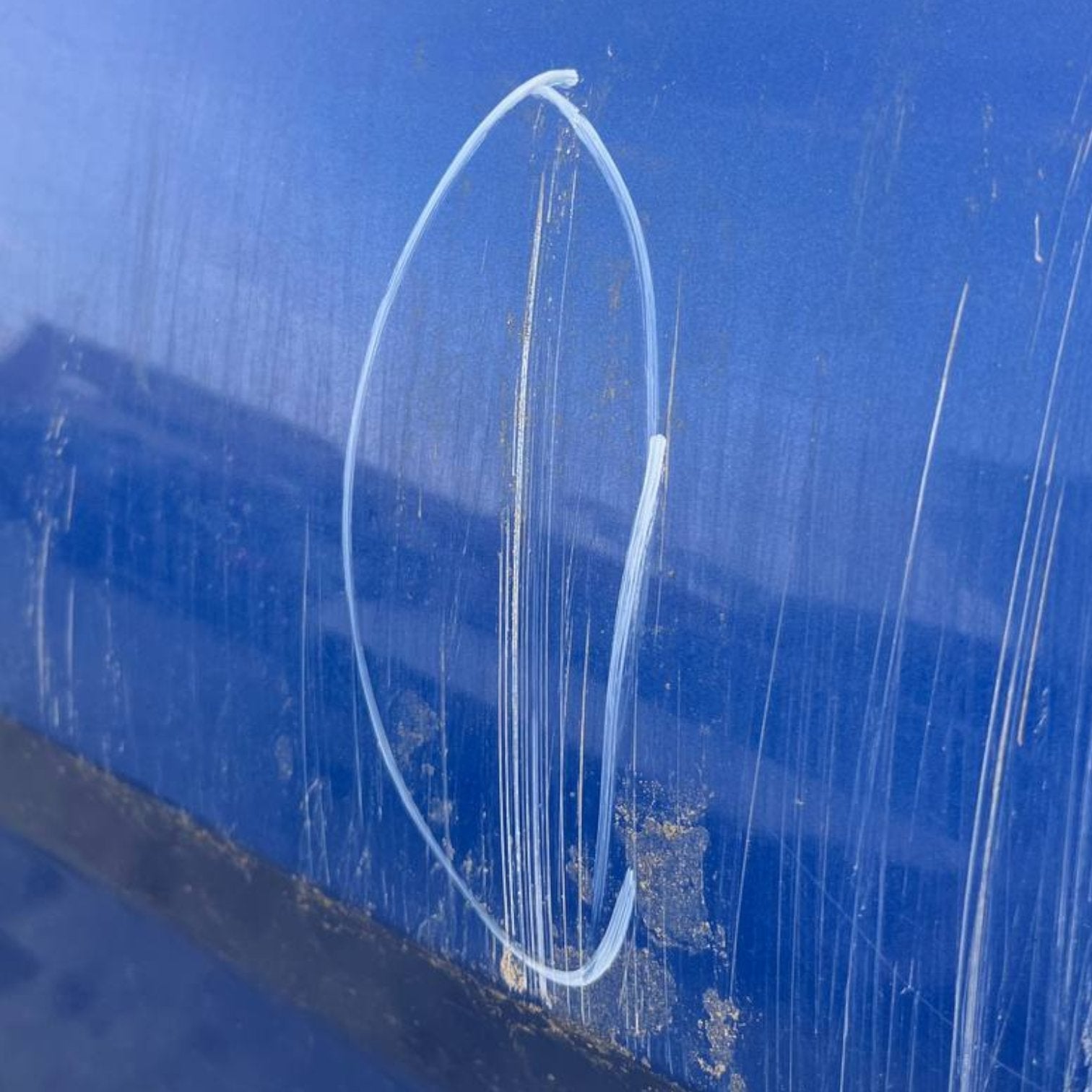 Porta / Portiera posteriore sinistra (sx) Ford B-Max (2012 al 2018) Blu