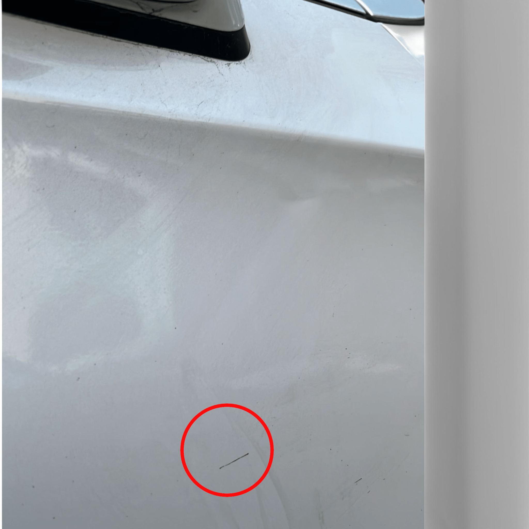 Porta / posteriore / sportello anteriore destro bianco DS4 (2011-2018)
