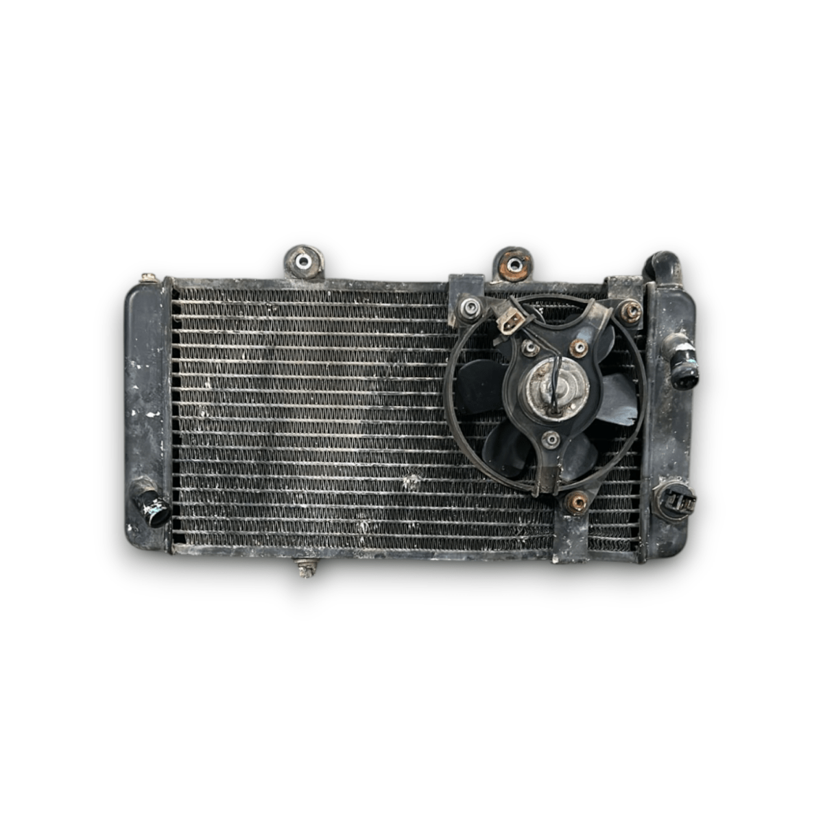 Radiatore + ventola aprilia pegaso 650 (1991 > 1996)