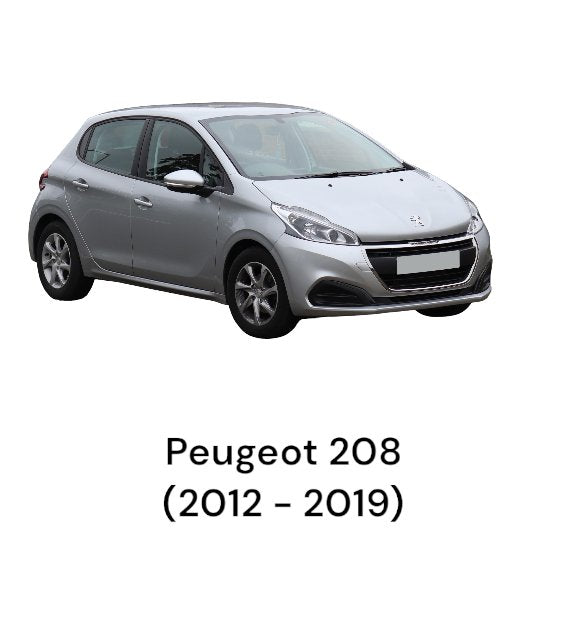 Rivestimento Plafoniera Anteriore Centrale Peugeot 208 (2012-2019) cod.96738108