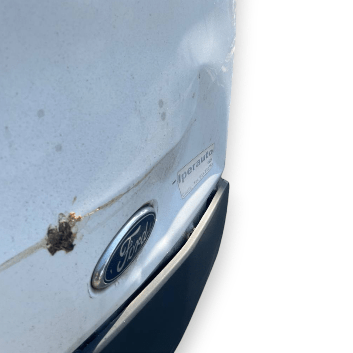 Sportello / Portellone / Anta Posteriore Destra Ford Transit (2014 >)
