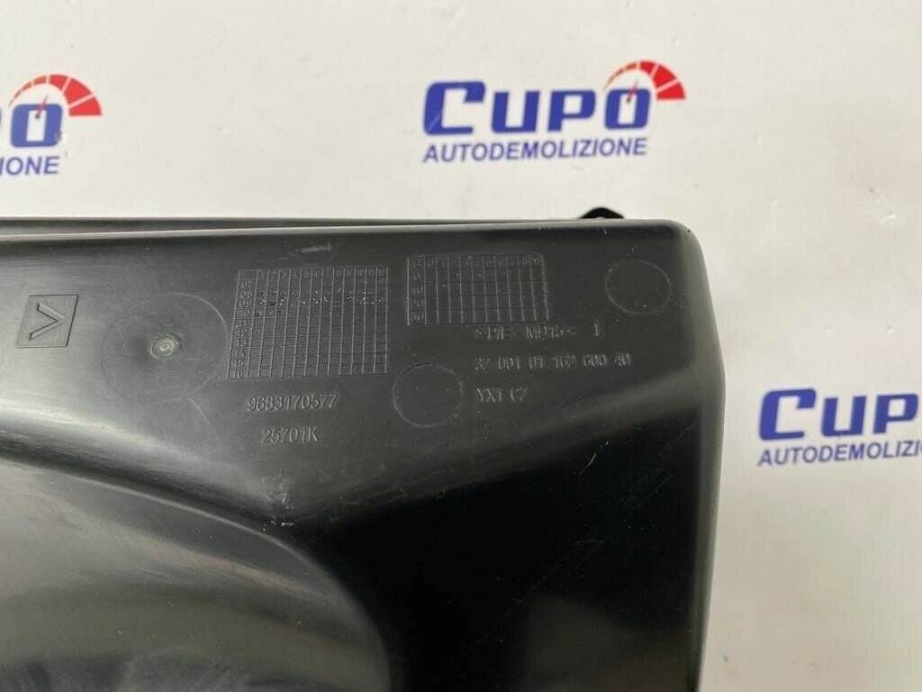 Vano Cassetto Portaoggetti Citroen C3 Picasso