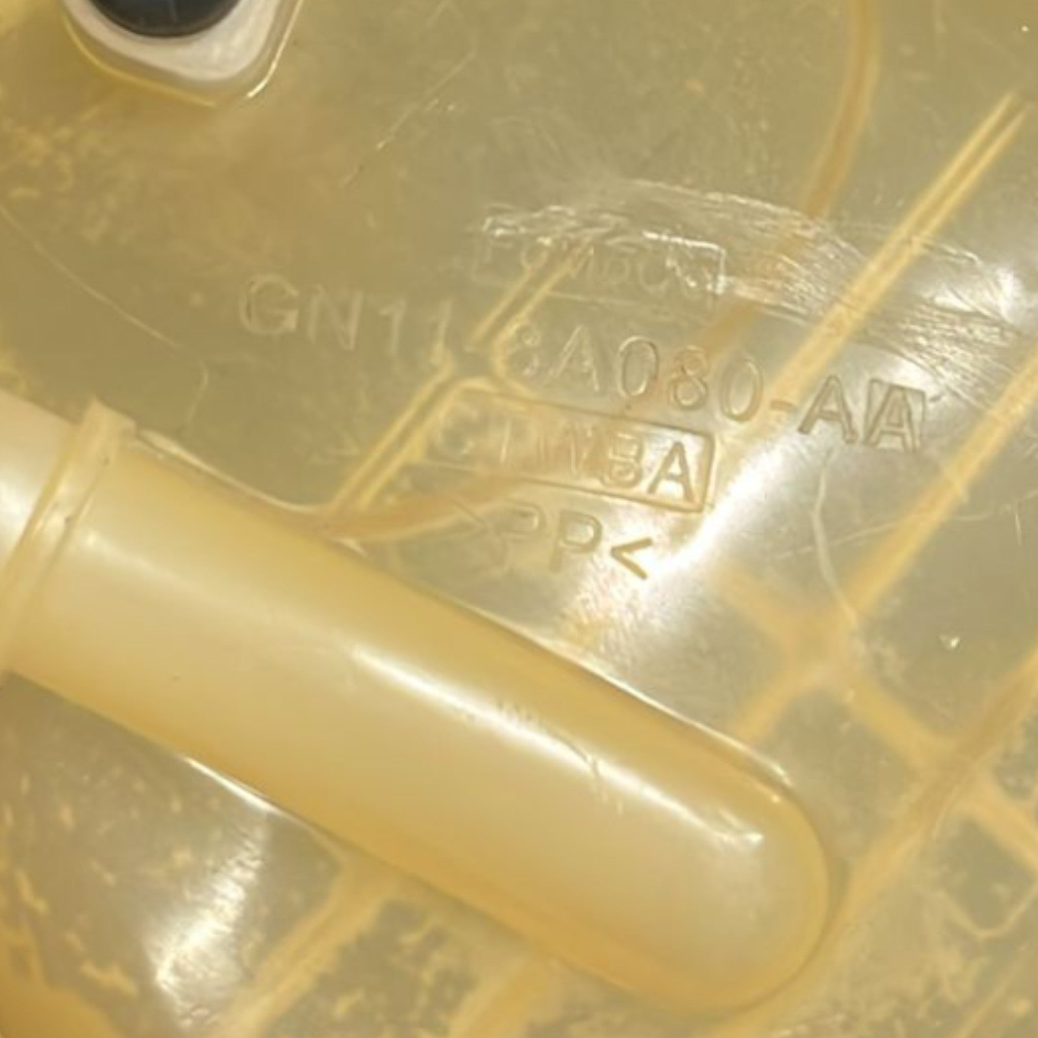 Vaschetta Liquido Refrigerante Ford Fiesta VII cod:GN11-8A080-AA 1.1 Benzina (2017 >2023)
